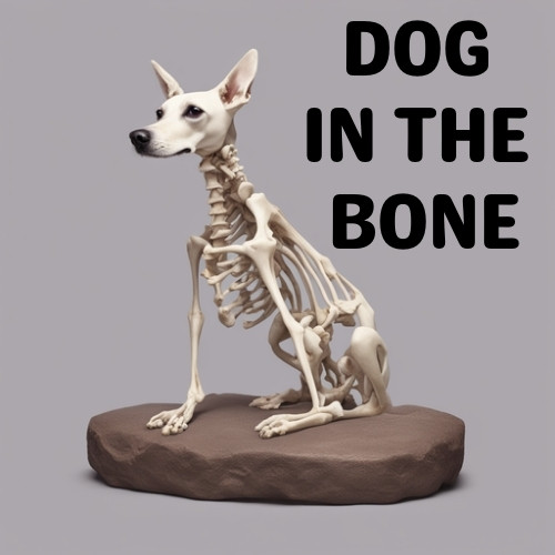 Dog in the bone