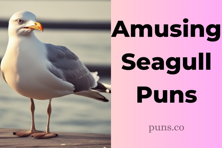 47 Seagull Puns That are Shore to Make You Giggle!