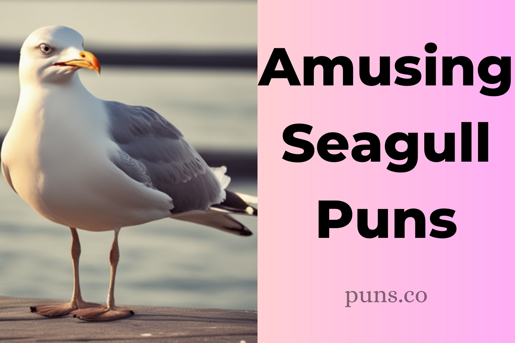 105 Seagull Puns That Are Shore To Make You Giggle