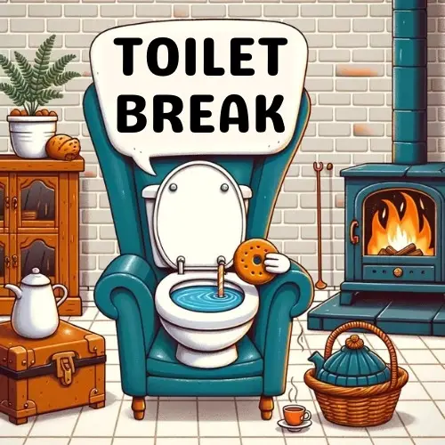 Toilet break! - Toilet Pun
