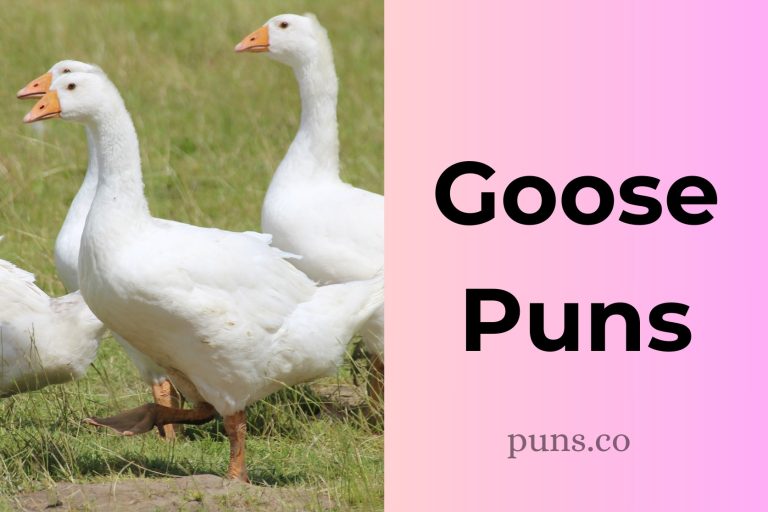 98 Goose Puns To Wing Your Way Through Hilarity!