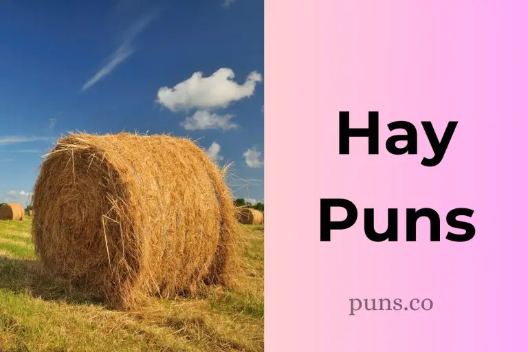 106 Hay Puns For A Harvest Of Giggles And Grins!