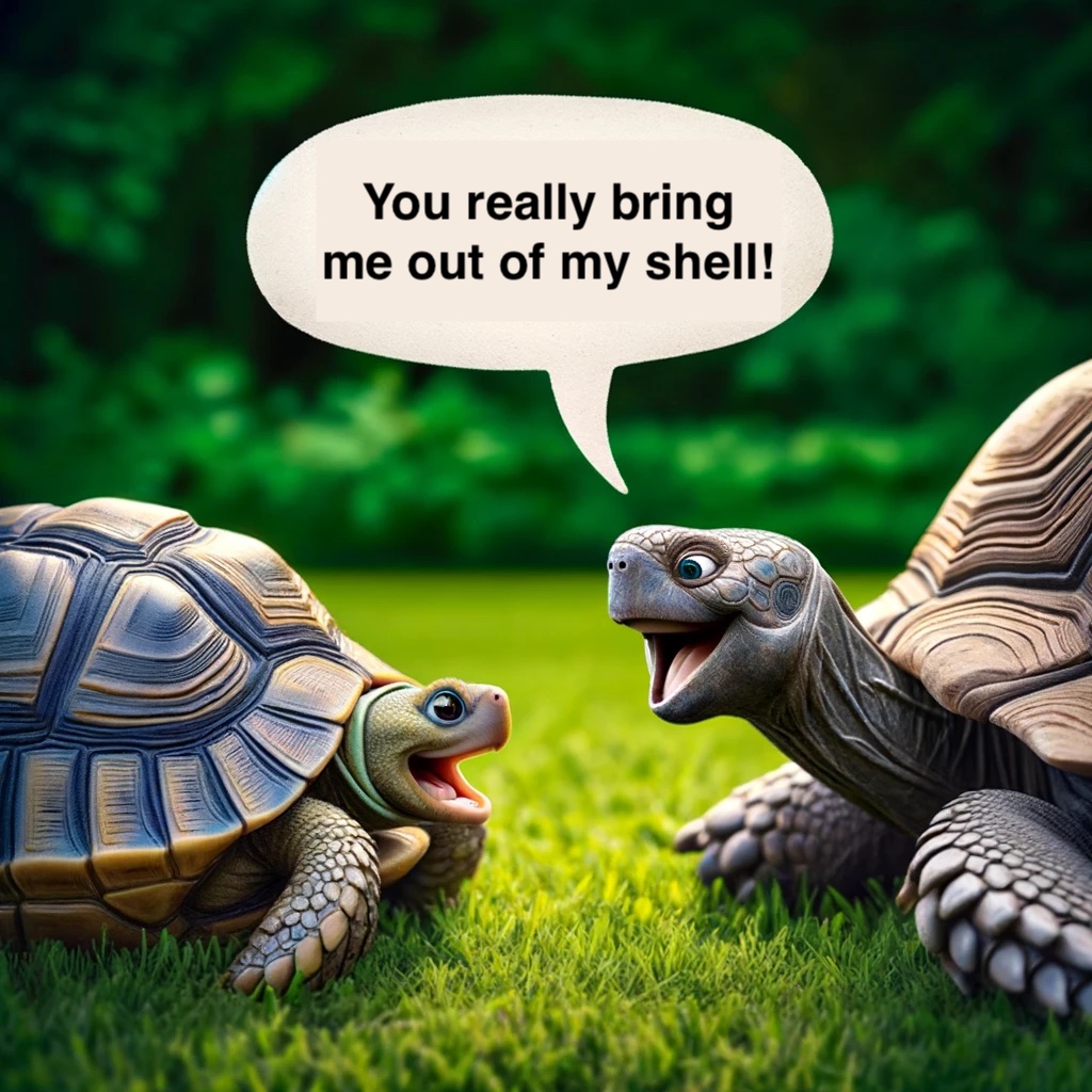 The turtle said to the tortoise You really bring me out of my shell Tortoise Pun