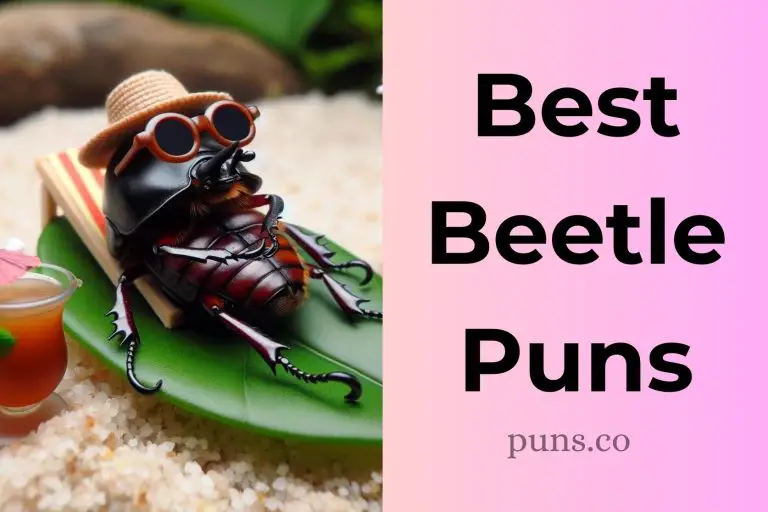 138 Beetle Puns To Bug Out Your Friends With Laughter!