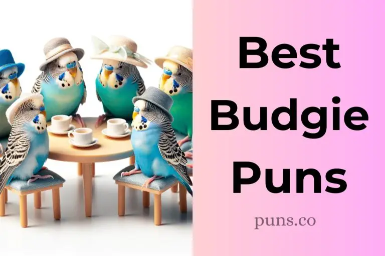 121 Budgie Puns to Have You Chirping With Laughter!