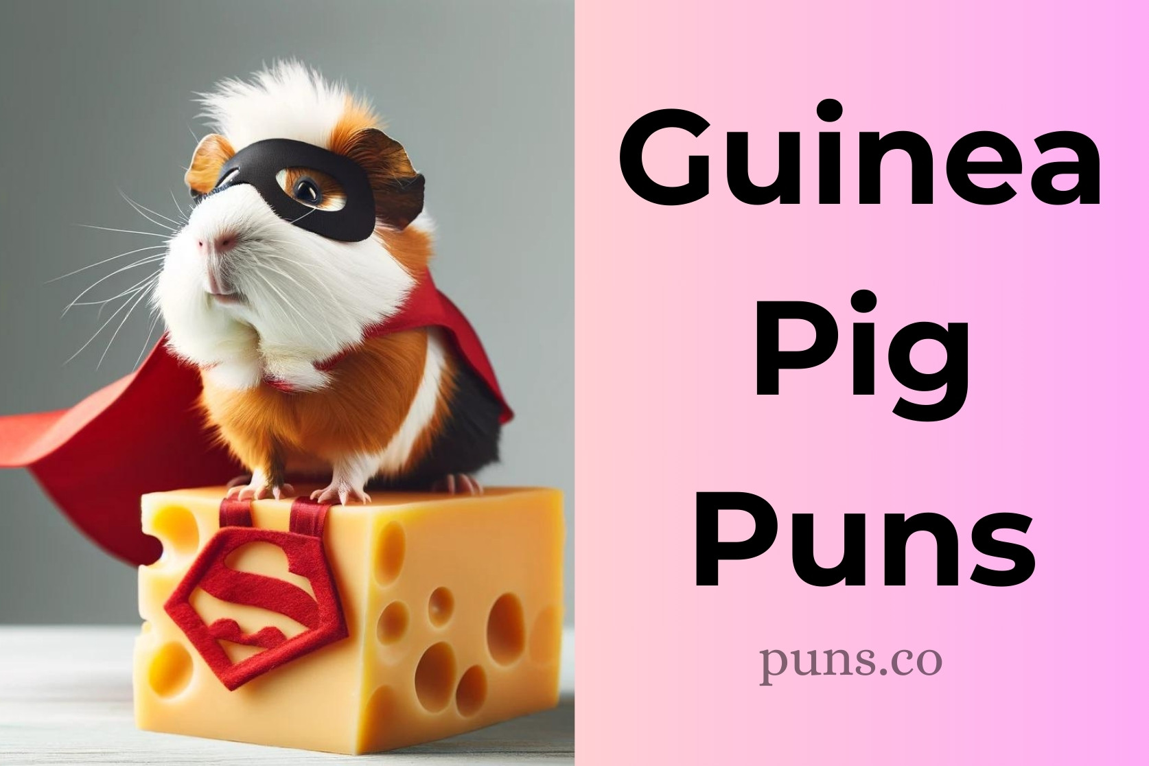 Guinea Pig Puns