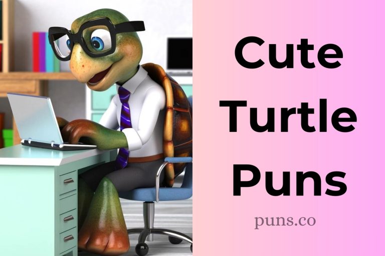 95 Turtle Puns That Are Turtle-y Awesome!