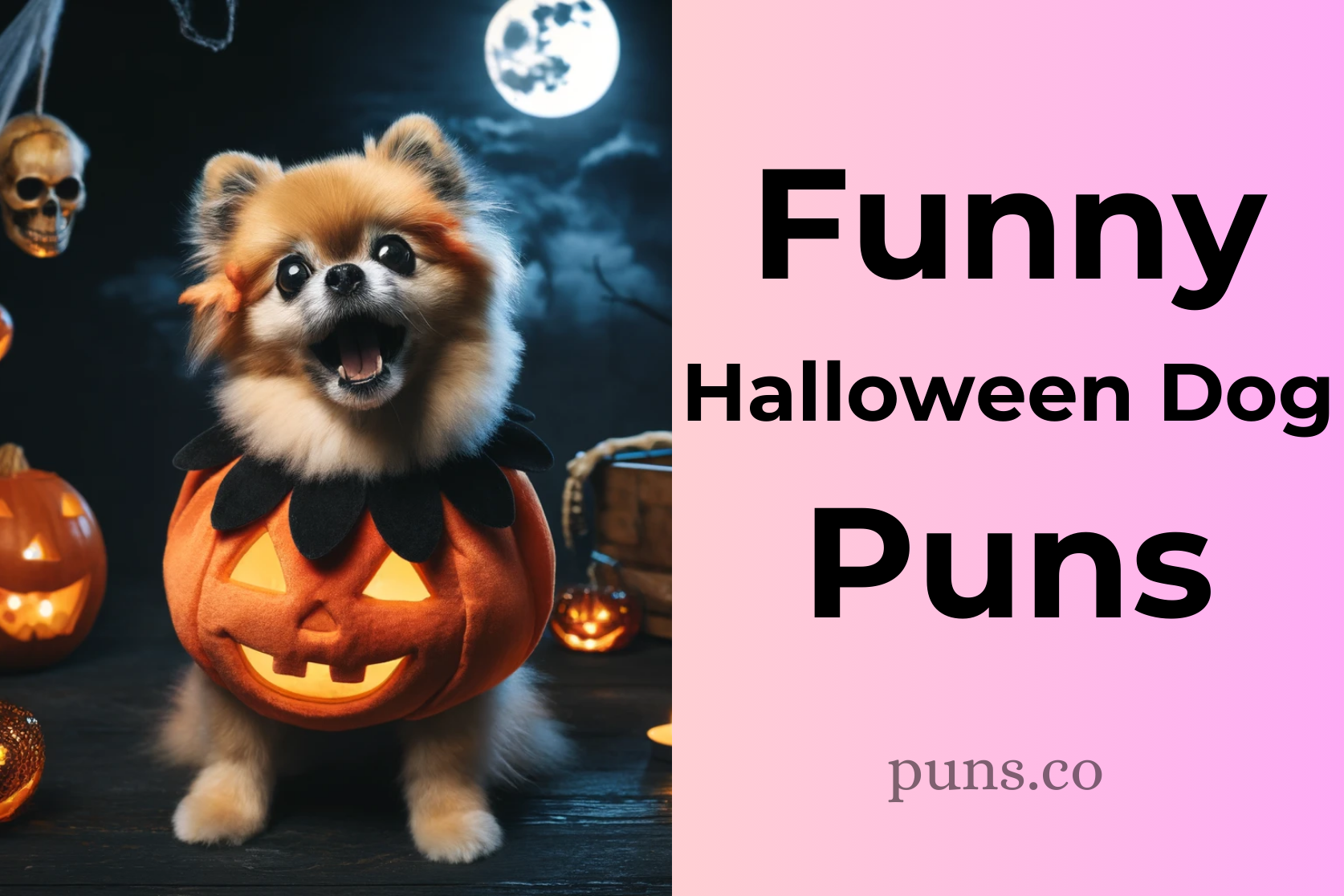 Halloween Dog Puns