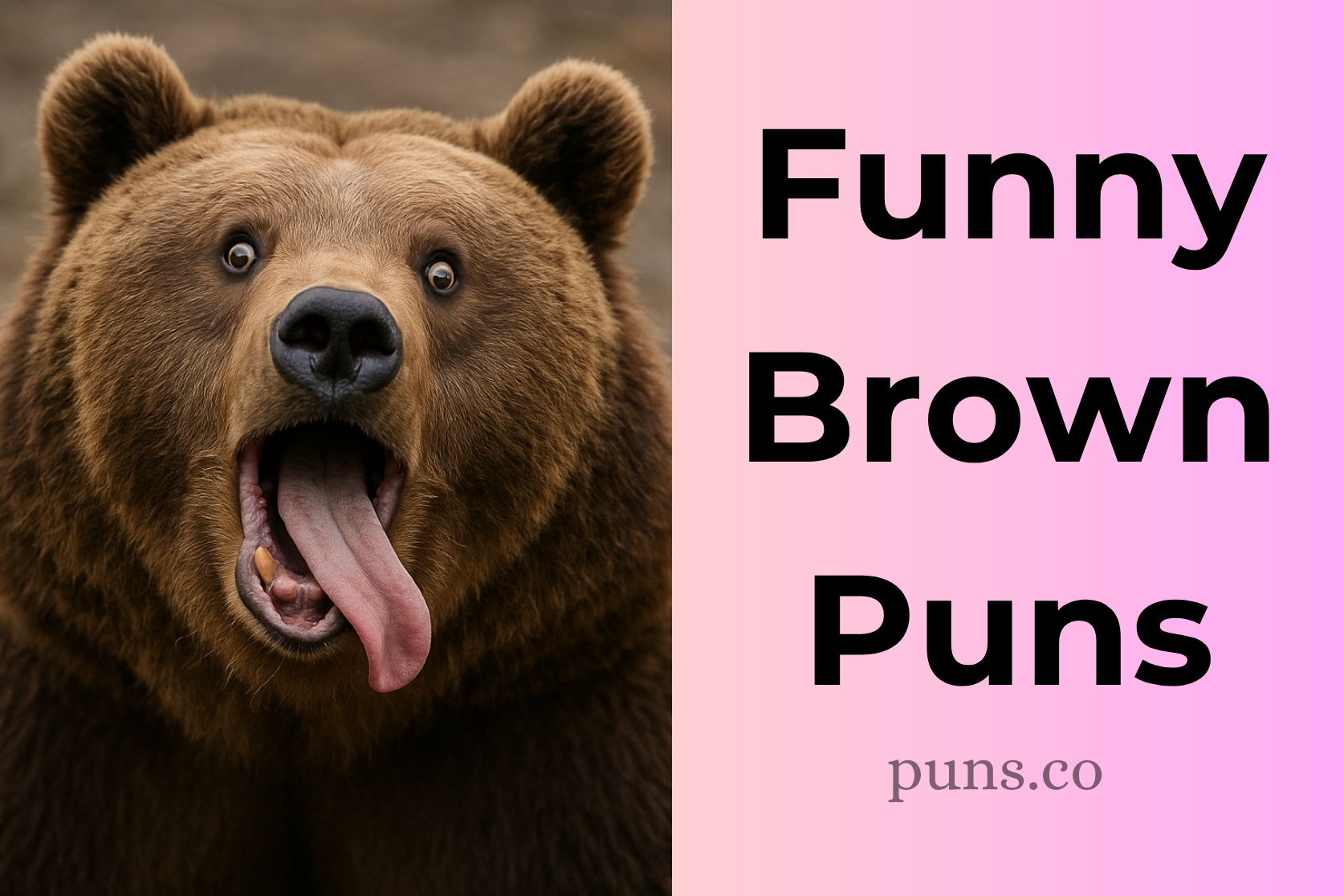 Brown Puns