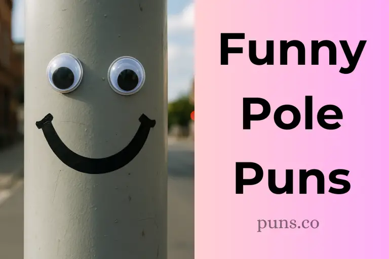 104 Pole Puns That You Need in Your Life Right Now!