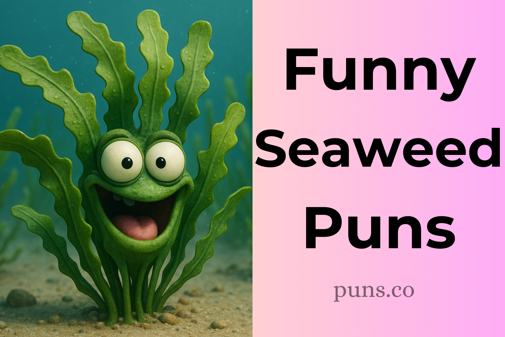 Seaweed Puns
