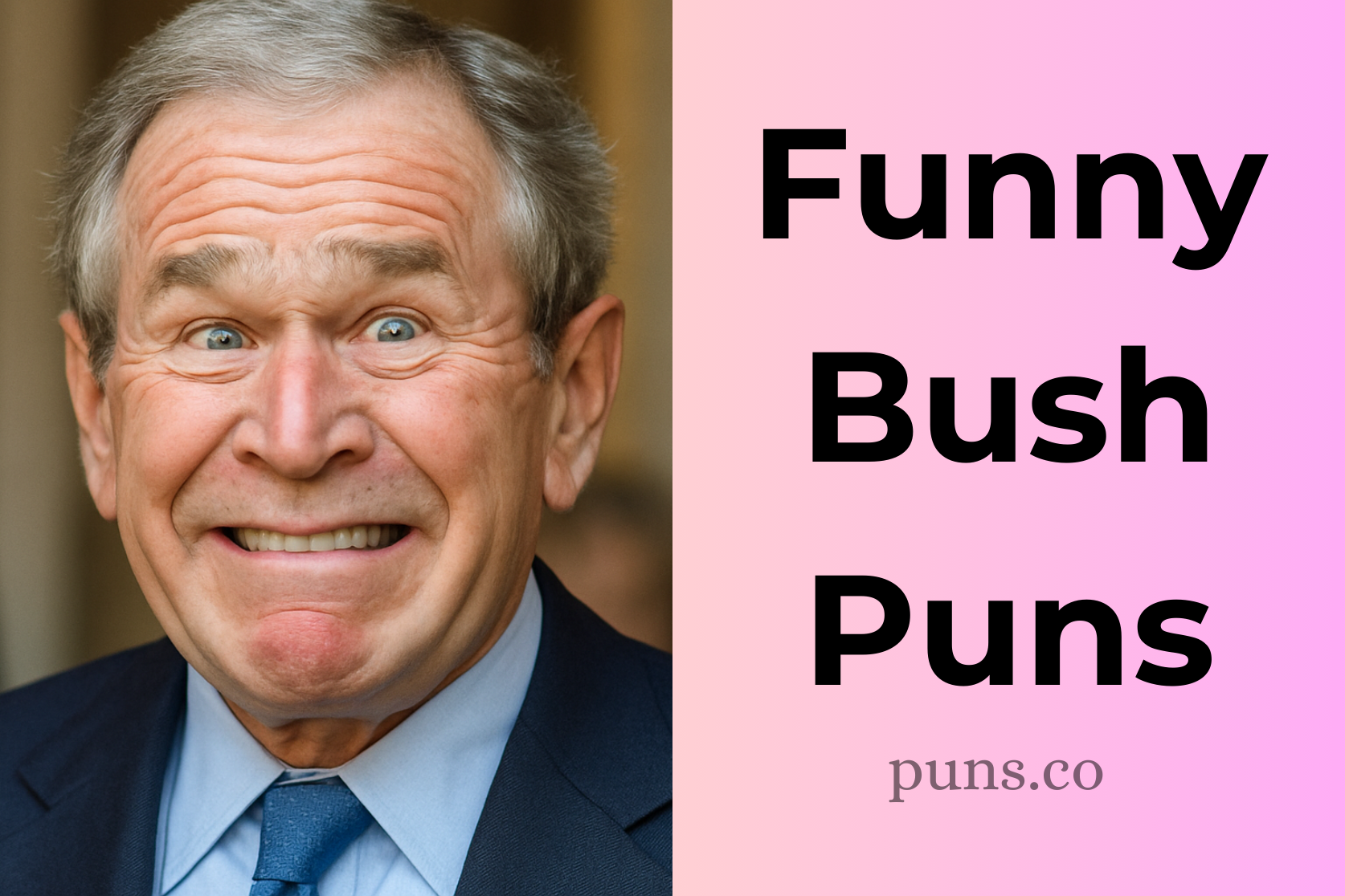 Bush Puns